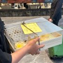 5515 | Ep.1｜제주 엠버 퓨어힐 신관 내돈내산, 프라이빗 자쿠지 객실 5515호 리뷰