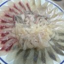 양숙이네 | 현지인 회 대게 맛집 추천 경주 감포 양숙이네 횟집