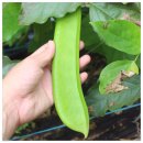 백여농장 이미지