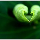 백연농장 이미지