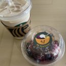 [230720] 맛집. 강남역 그릭요거트 보울 비유어거트
