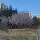 덕진봄공인중개사사무소 이미지