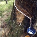 중앙고무 이미지