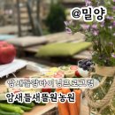 웰니스팜 | 경남 아이 체험 밀양 암새들 팜다이닝 프로그램 추천