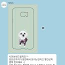 오독스(ODOX)