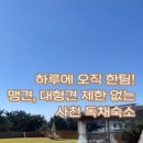 도그프리덤 이미지