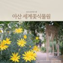 아산 세계꽃식물원 꽃잎온실 꽃구경