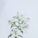 보태니컬 아트 전문가 이미지