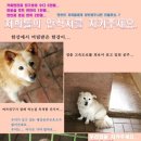 평강공주 이미지