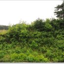 동막골 바다펜션 이미지