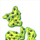 주식회사 신원 이미지