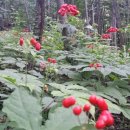 홀뫼농장 이미지