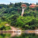 베트남 향기 이미지