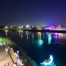 장성 꽃 화원 이미지