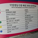 국립정동극장 세실 .창작ing 뮤지컬 던터치 Dawn Touch...넋두리 긴글주의 이미지