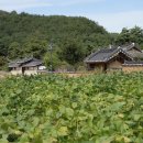 유곡리마을회관 이미지