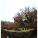 씨유제주사리탑교차로점 | 제주돌문화공원 2코스