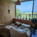 지오 파인트리 이미지