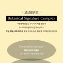 블랑오브