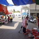 시종시장 이미지