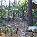 GS25 천호 이미지