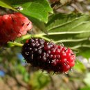 오디한의원 이미지