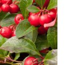 (주)윈터그린 이미지