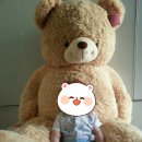 [은평서대문마포 후기] 마터케어 김명희관리사님이요