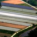 선유대 도장 이미지