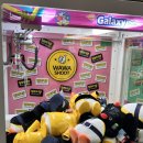 인형뽑기방 | 광주 수완지구 인형뽑기방 후기 , ‘와와사격장’