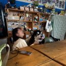 레프트핸더 스테이 이미지