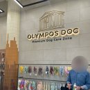 올림포스도그