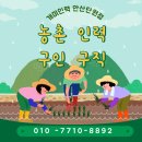 화성 화옹지구에서 못자리·모판 작업- 개미인력 안산단원점