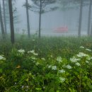백두대 | 장거리 트레일로서의 백두대간 가치 극대화를 위한 소고