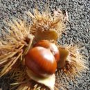 벽제관로 이미지