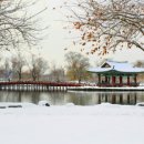 궁남지 문화관광해설사 이미지