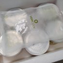 아기김치 언제부터 깍두기 백김치 물김치 돌아기 어린이도 맛있게