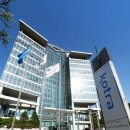 대미플러스 이미지