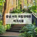 머물다매점 | [충남 서천] 서천 가볼만한곳 서천 실내 여행 ' 국립생태원 에코리움' 에코케어센터 CITES 관람