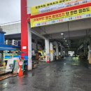 <영화수산> 구리 수산물시장 홍어 맛집! 국내산 암치 홍어 후기