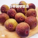 박종관농장 이미지