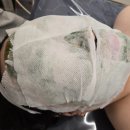 라온케어 | [공지] 충북혁신도시 &#39;라온뷰티&#39; 베르도소케어 후기