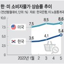 빅스텝 이미지