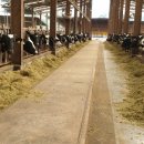 이철주목장 이미지