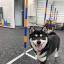 스테이 영 이미지