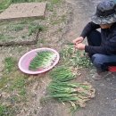 한스메디팜 이미지