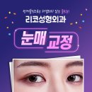 리코성형외과의원 | 신사역성형외과 눈매교정을 알려줄게.