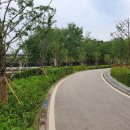 숲속공기 이미지