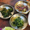반할반찬 | 남한산성 아라리오]입안 가득 번지는 봄의 향연, '흑백요리사' 아기맹수도 반할 봄나물 한정식 맛집 후기 🌱