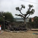 초성가든 이미지